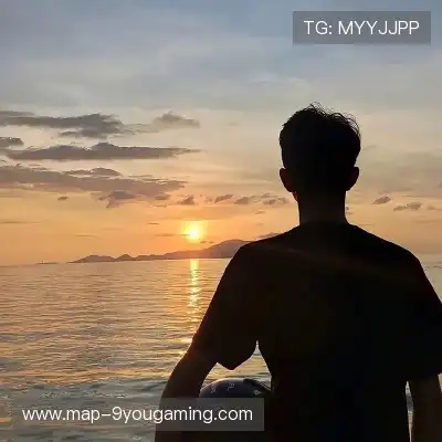 万桢翼