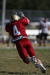 九游网页版入口-NBA球队球员合同谈判分析，nba球队球员合同谈判分析图